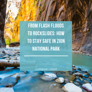 From Flash Floods to Rockslides: How to Stay Safe in Zion National Park