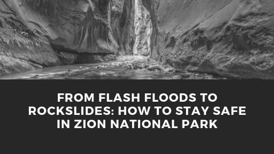 From Flash Floods to Rockslides: How to Stay Safe in Zion National Park