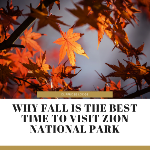 Why Fall is the Best Time to Visit Zion National Park