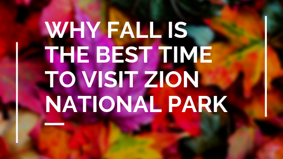 Why Fall is the Best Time to Visit Zion National Park