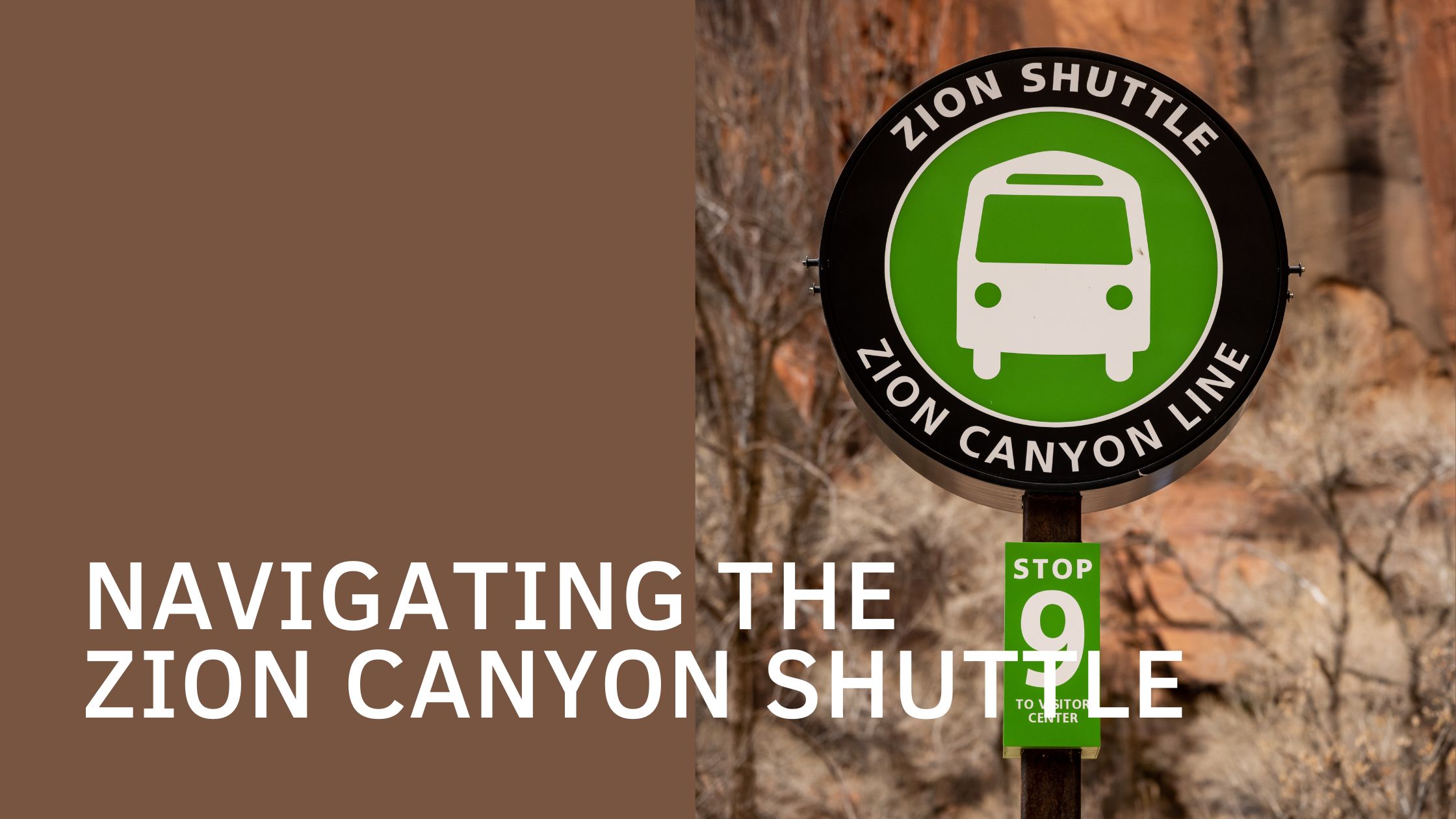 Exploring Zion With the Essential Zion Canyon Shuttle Guide